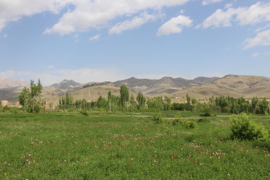 علودانی های سایر مناطق و ولایات